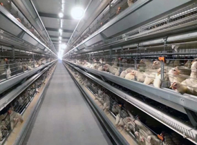 LED驅(qū)動(dòng)電源，LED電源，LED防水驅(qū)動(dòng)電源，戶外調(diào)光電源，室外路燈電源，深圳明仕達(dá)智能科技有限公司